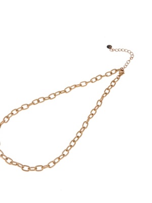 Day&Eve Stainless Steel Gouden Schakelketting